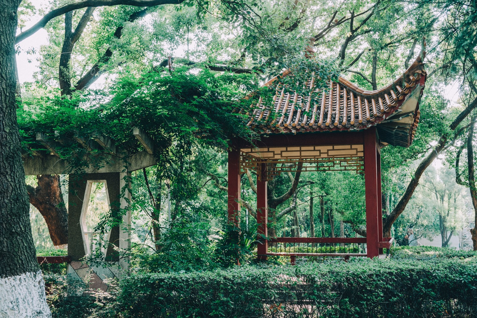 亚洲体育博彩平台(中国)官方网站