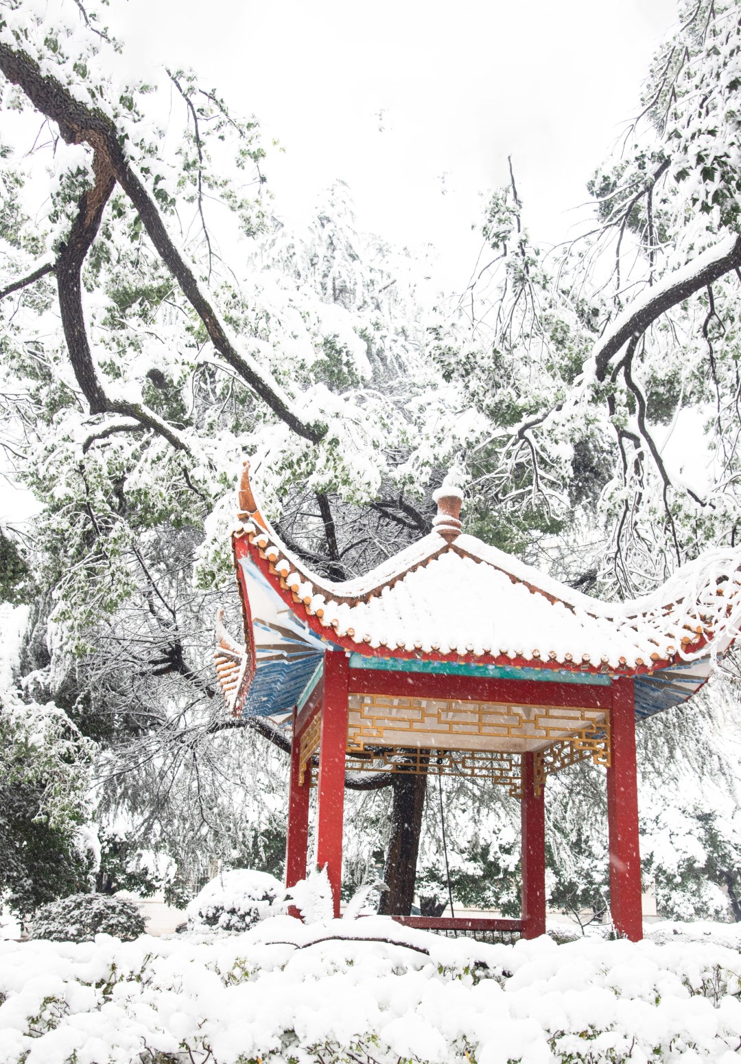 亚洲体育博彩平台(中国)官方网站